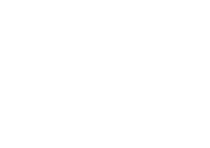 Pulses
